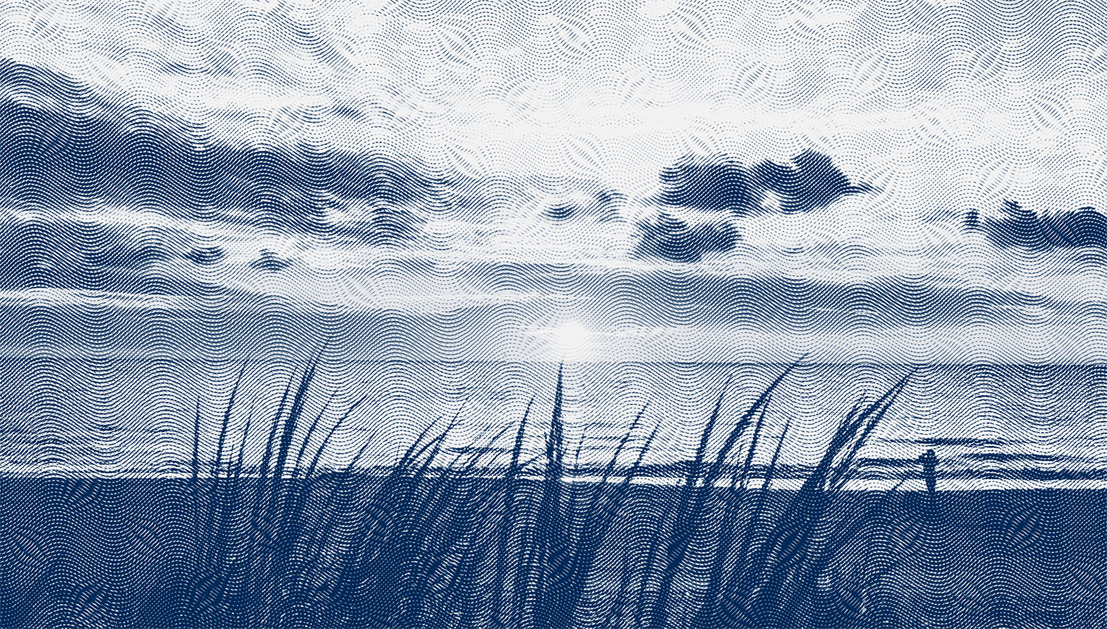 Wealth Management Services Bryn Mawr Trust