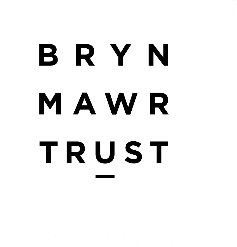 Bryn Mawr Trust: A WSFS Company logo. White version.